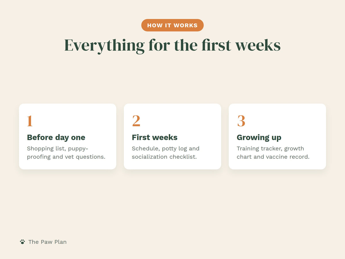 New Puppy Starter Kit Printable: Checklists & Routines